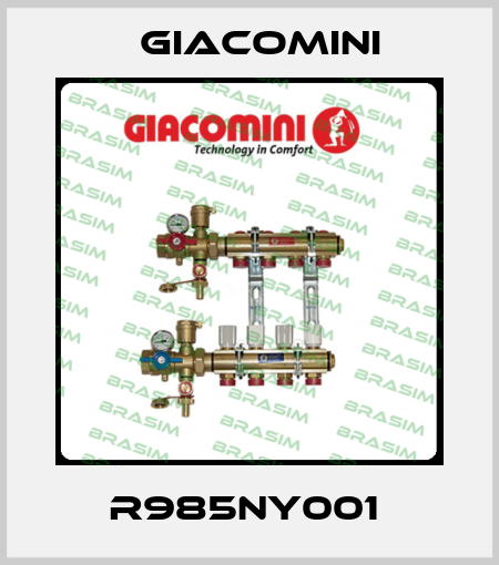 R985NY001  Giacomini