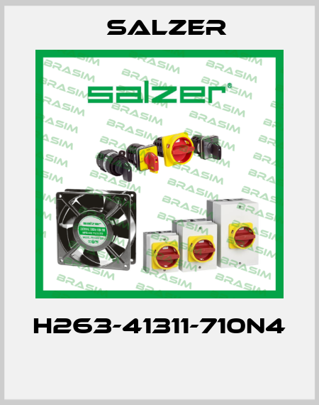 H263-41311-710N4  Salzer
