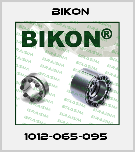 1012-065-095  Bikon