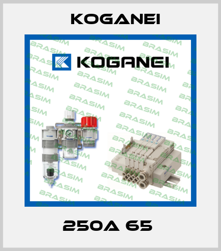 250A 65  Koganei