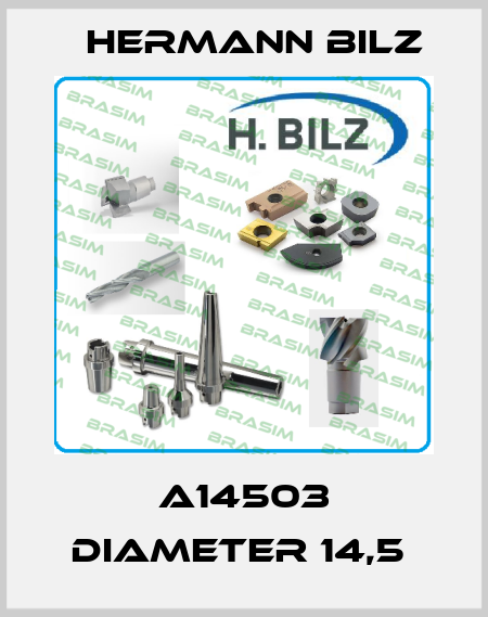 A14503 DIAMETER 14,5  Hermann Bilz