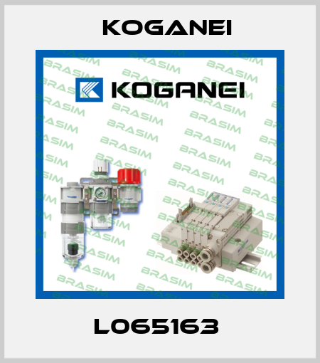 L065163  Koganei