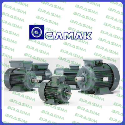 AGM 132S/4 IE2 B3 220V with brake  Gamak