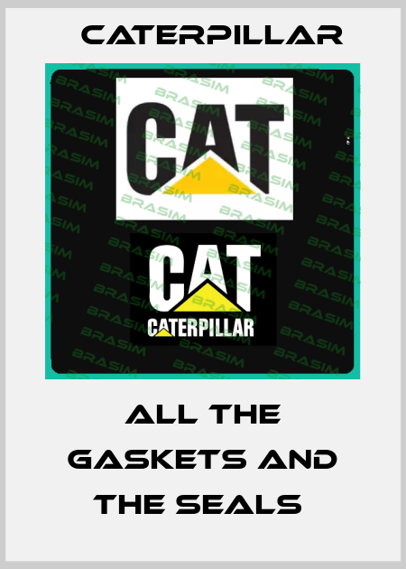 ALL THE GASKETS AND THE SEALS  Caterpillar