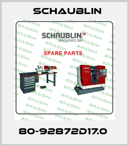80-92872D17.0  Schaublin