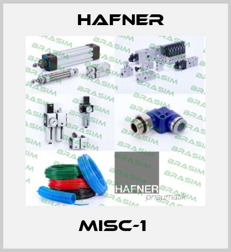 MISC-1  Hafner