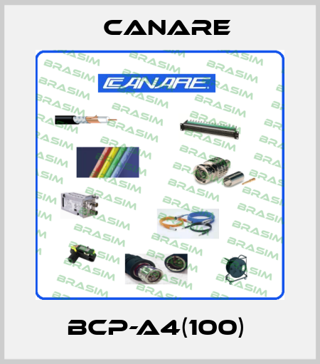 BCP-A4(100)  Canare