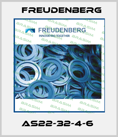 AS22-32-4-6  Freudenberg