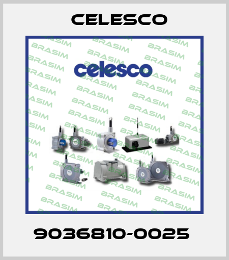 9036810-0025  Celesco