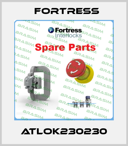 ATLOK230230 Fortress
