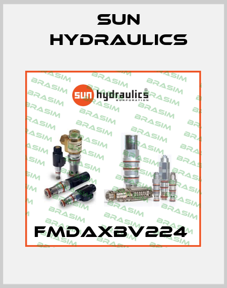 FMDAXBV224  Sun Hydraulics