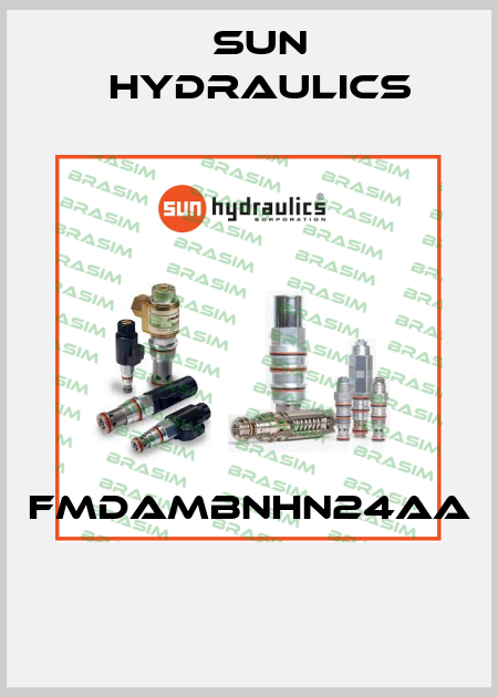 FMDAMBNHN24AA  Sun Hydraulics