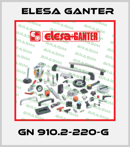 GN 910.2-220-G  Elesa Ganter
