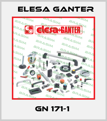 GN 171-1  Elesa Ganter