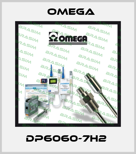 DP6060-7H2  Omega