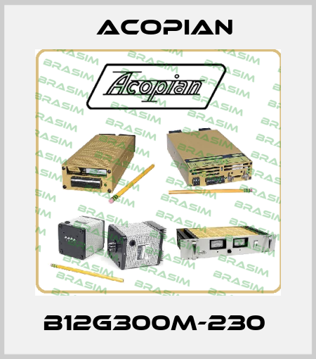 B12G300M-230  Acopian