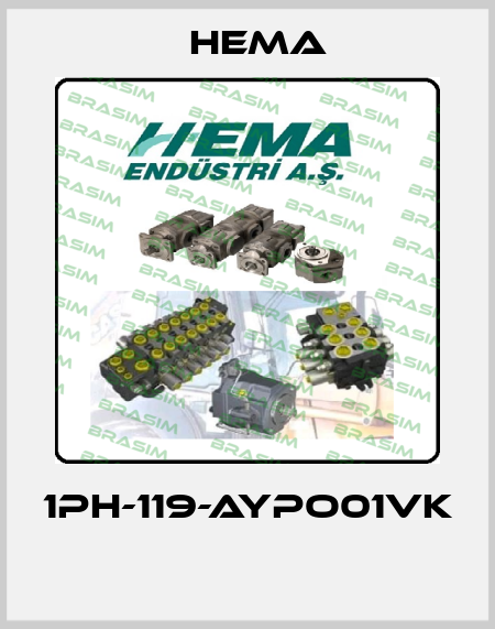 1PH-119-AYPO01VK  Hema
