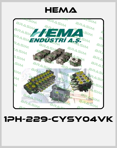 1PH-229-CYSY04VK  Hema