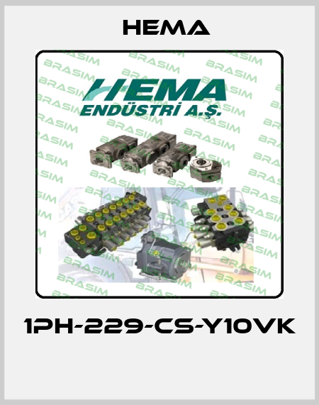 1PH-229-CS-Y10VK  Hema