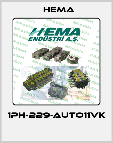 1PH-229-AUTO11VK  Hema