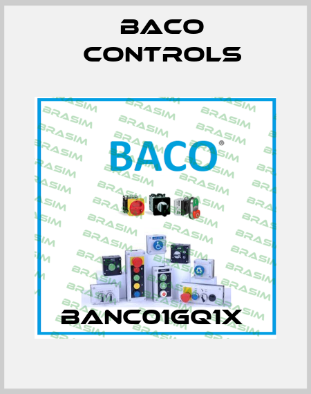 BANC01GQ1X  Baco Controls
