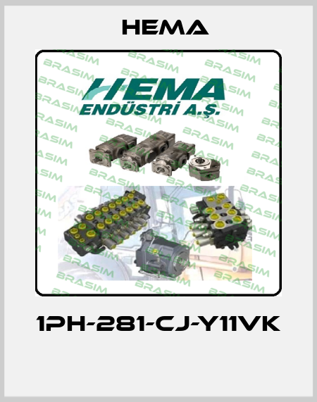 1PH-281-CJ-Y11VK  Hema