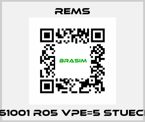 561001 R05 VPE=5 stueck  Rems