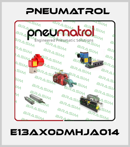 E13AX0DMHJA014 Pneumatrol