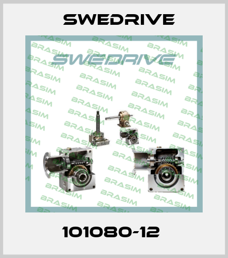 101080-12  Swedrive