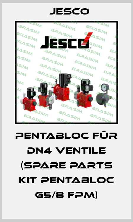 PENTABLOC für DN4 Ventile (Spare Parts Kit PENTABLOC G5/8 FPM) Jesco
