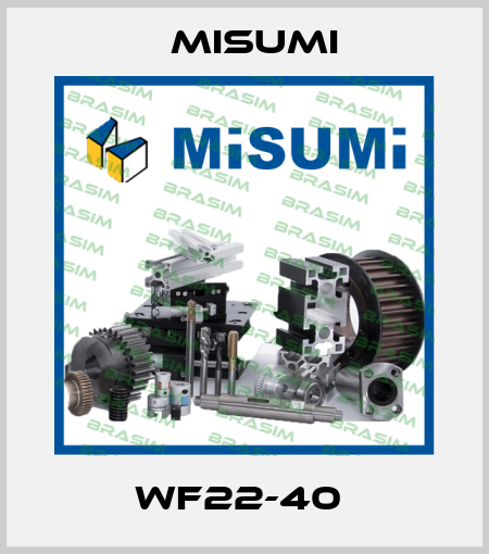 WF22-40  Misumi