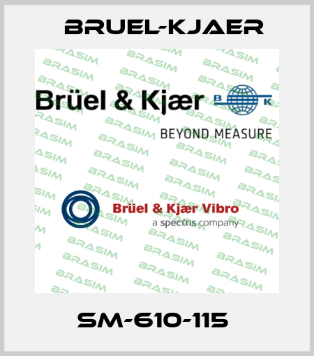 SM-610-115  Bruel-Kjaer