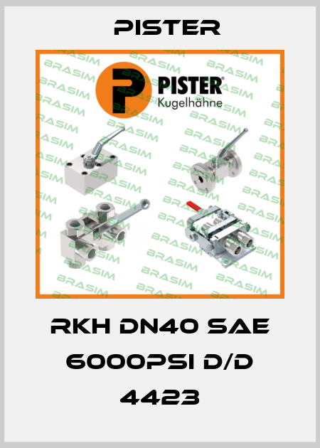 RKH DN40 SAE 6000psi D/D 4423 Pister