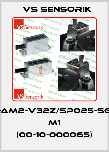 SGM2G-AM2-V32Z/SP025-SG17P-T8- M1 (00-10-000065) VS Sensorik