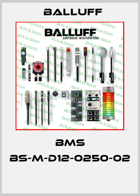 BMS BS-M-D12-0250-02  Balluff