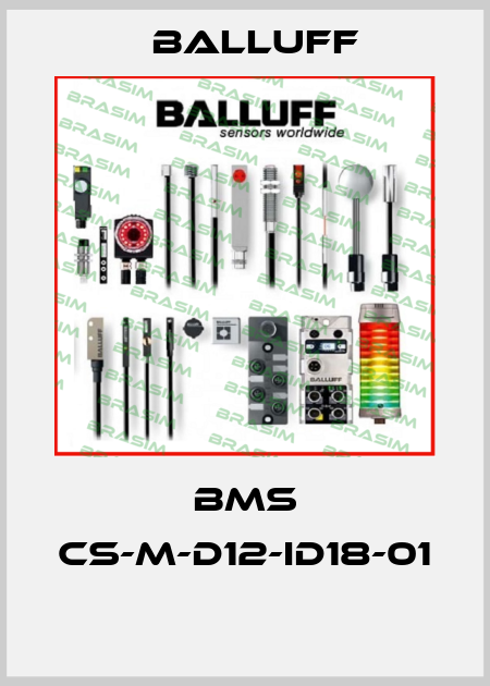 BMS CS-M-D12-ID18-01  Balluff
