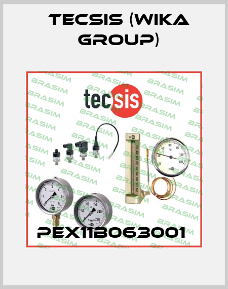 PEX11B063001  Tecsis (WIKA Group)