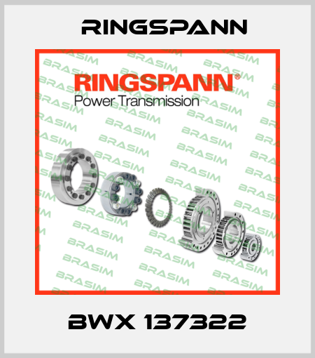 BWX 137322 Ringspann