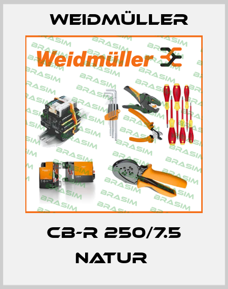 CB-R 250/7.5 NATUR  Weidmüller