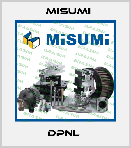 DPNL  Misumi
