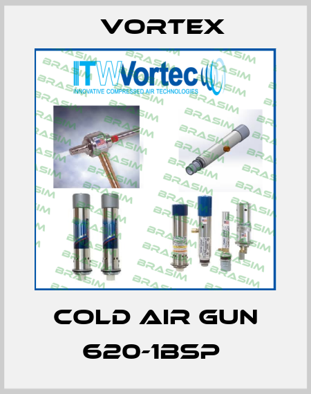 COLD AIR GUN 620-1BSP  Vortex