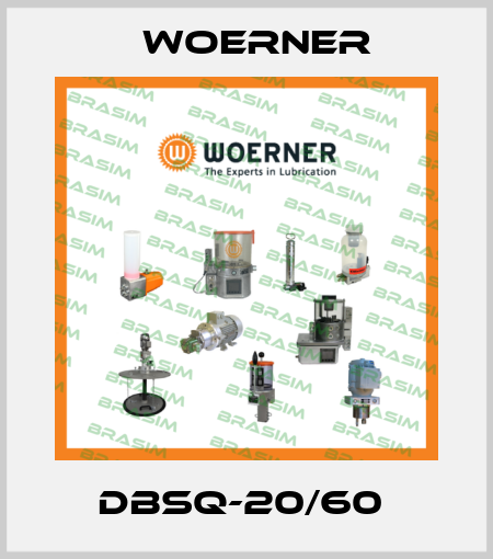 DBSQ-20/60  Woerner
