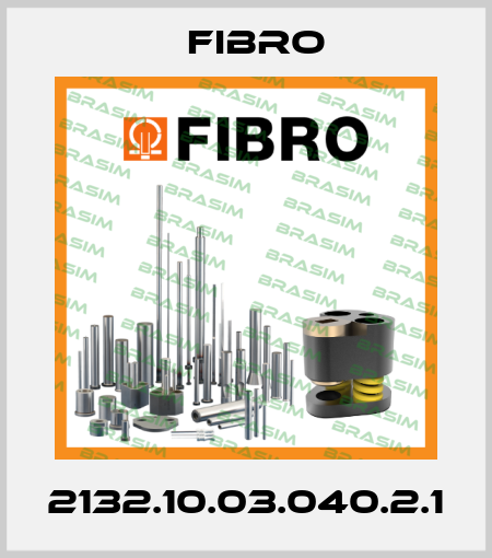 2132.10.03.040.2.1 Fibro