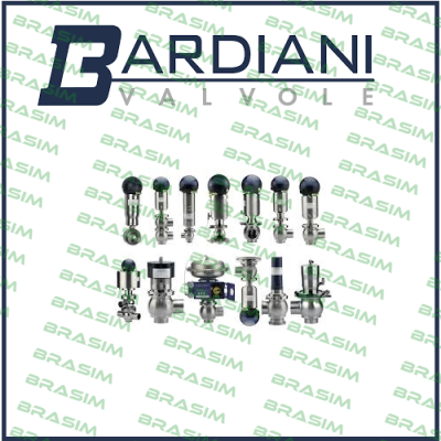 DN 50 ZVF BUTTERFLY VALVE MAINTENANCE KIT  Bardiani Valvole