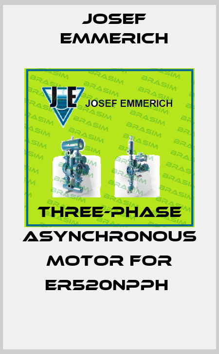 Three-phase asynchronous motor for ER520NPPH  Josef Emmerich