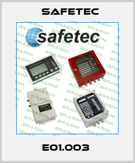 E01.003  Safetec