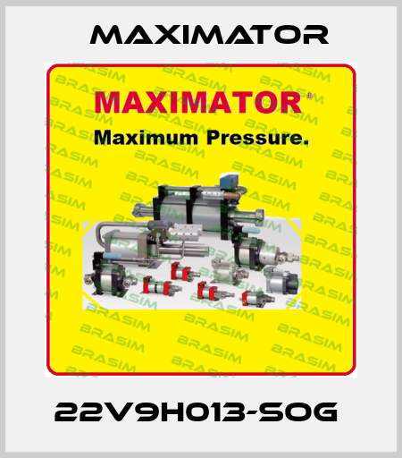 22V9H013-SOG  Maximator