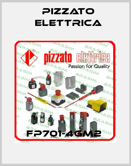 FP701-4GM2  Pizzato Elettrica