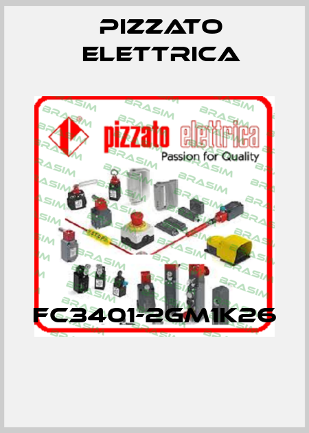 FC3401-2GM1K26  Pizzato Elettrica