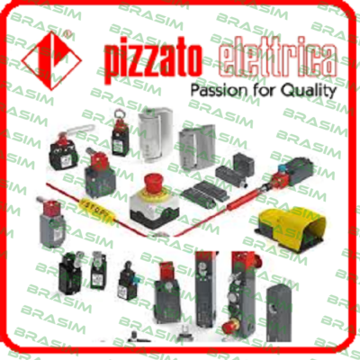 FR 602-XG  Pizzato Elettrica